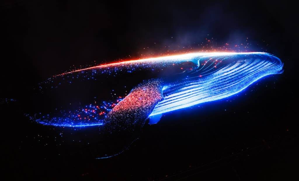 Fiddle.Digital Design Agency